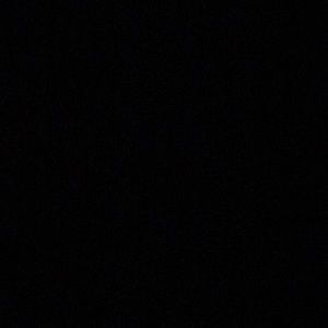 Meet your Posher, Joey